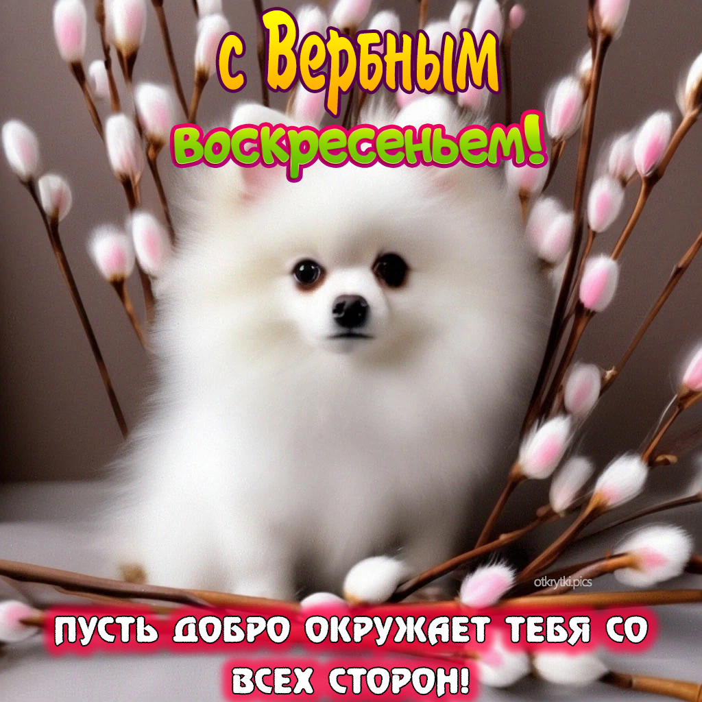 с вербным воскресеньем