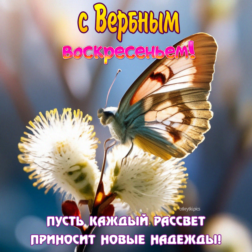 с вербным воскресеньем