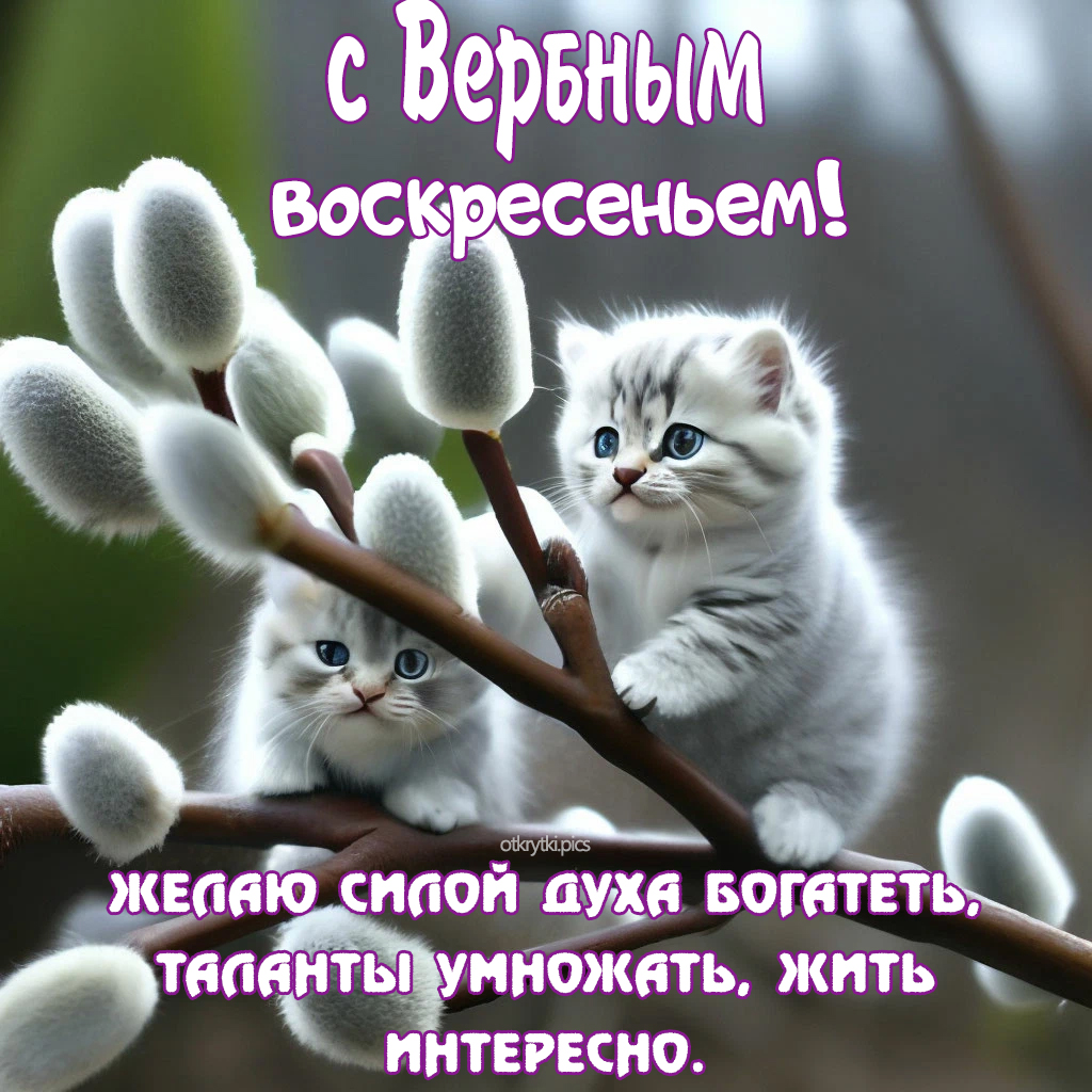 с вербным воскресеньем