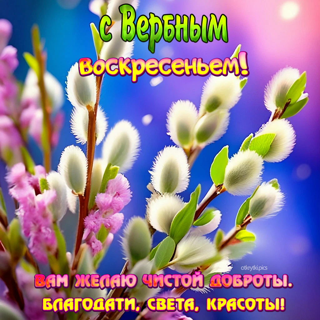 с вербным воскресеньем