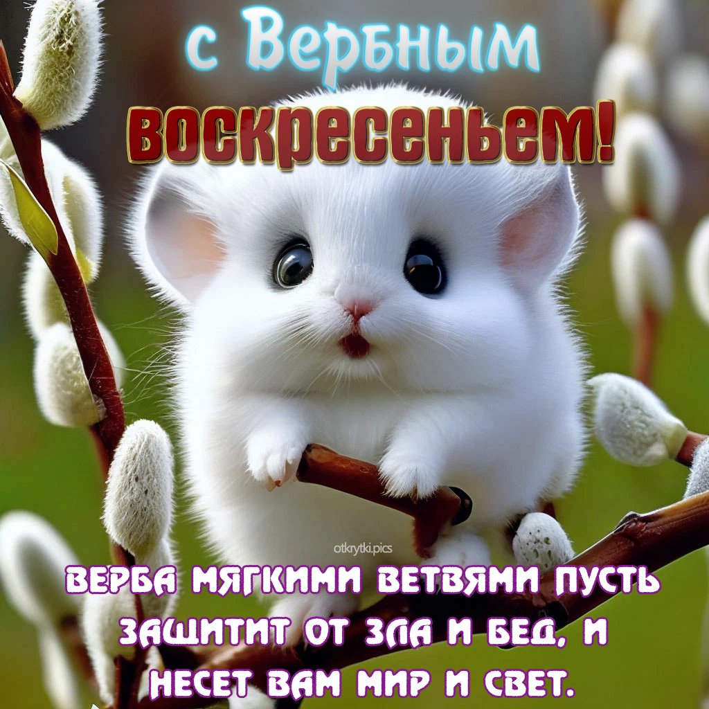 с вербным воскресеньем
