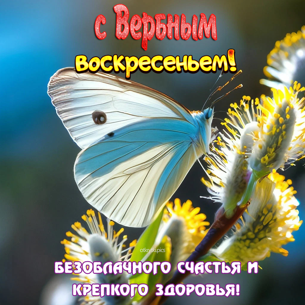 с вербным воскресеньем