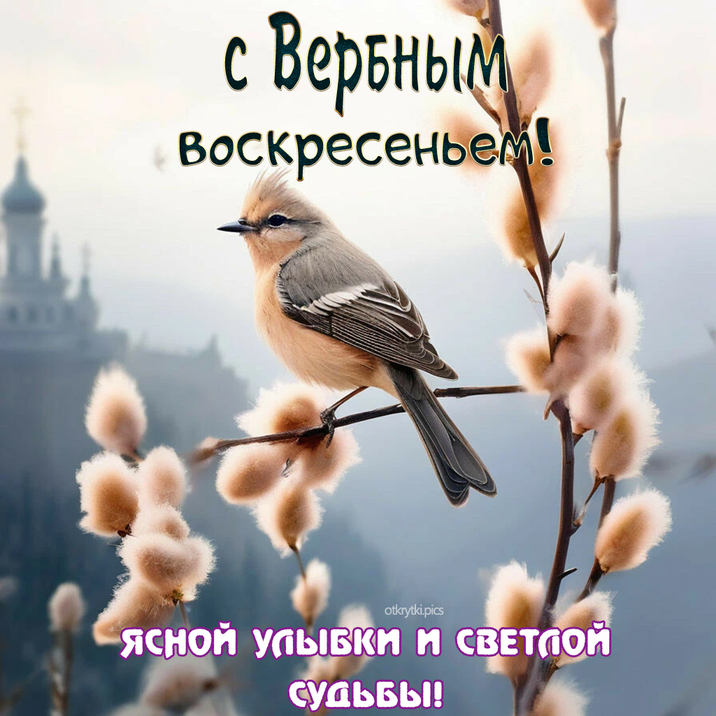 с вербным воскресеньем