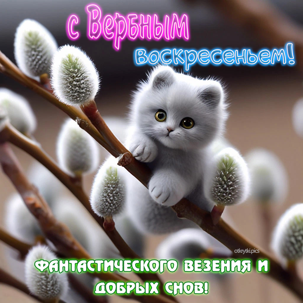 с вербным воскресеньем