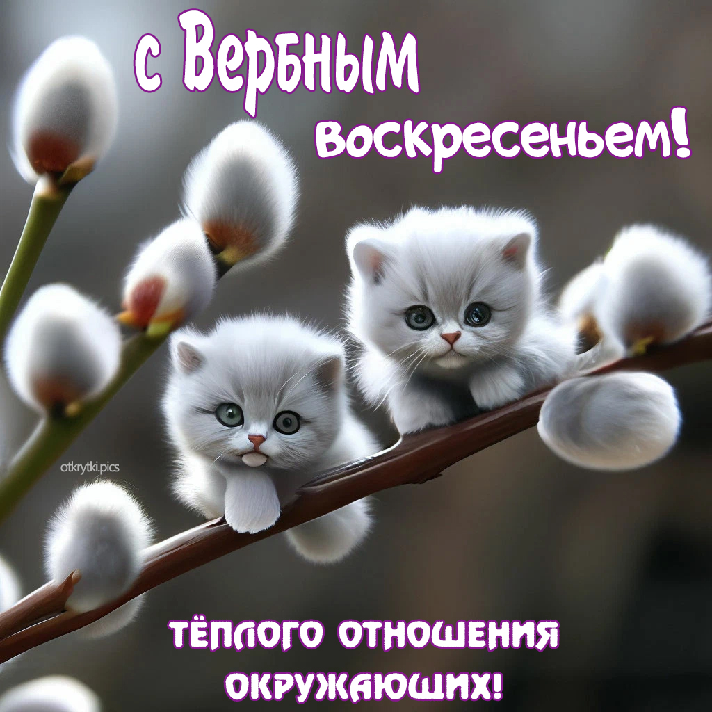 с вербным воскресеньем