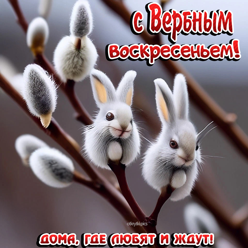 с вербным воскресеньем