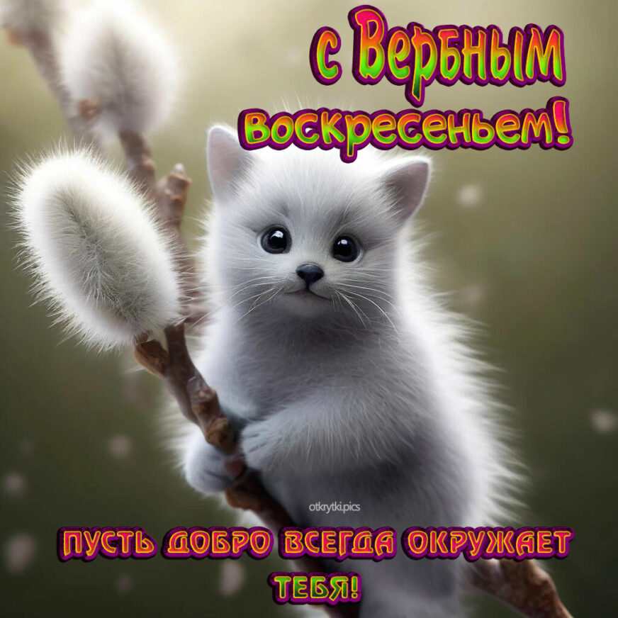 с вербным воскресеньем