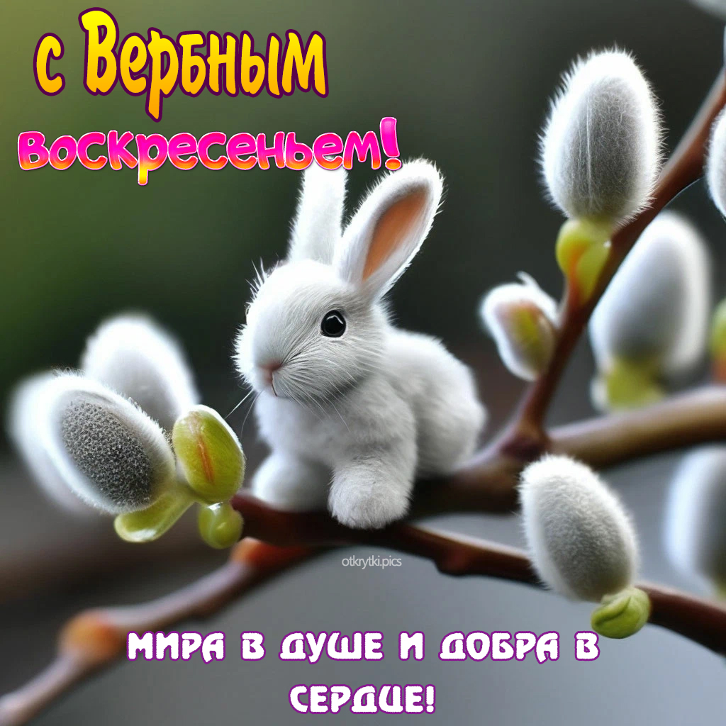 с вербным воскресеньем