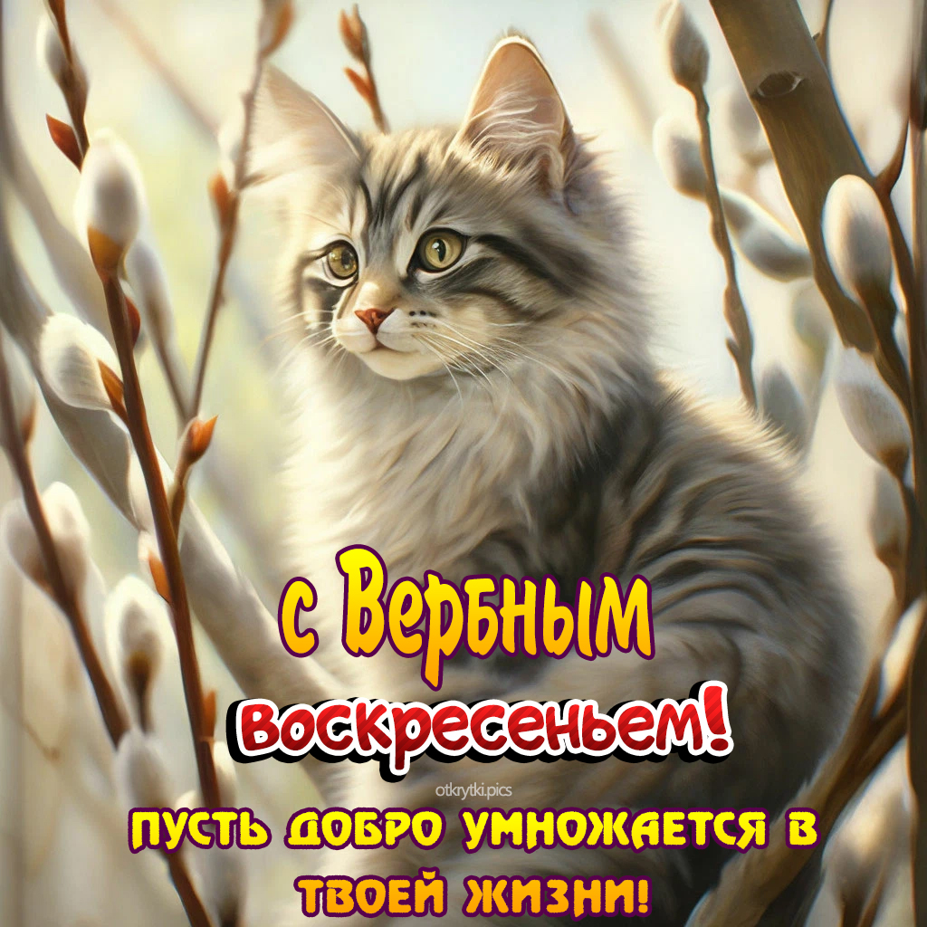 с вербным воскресеньем