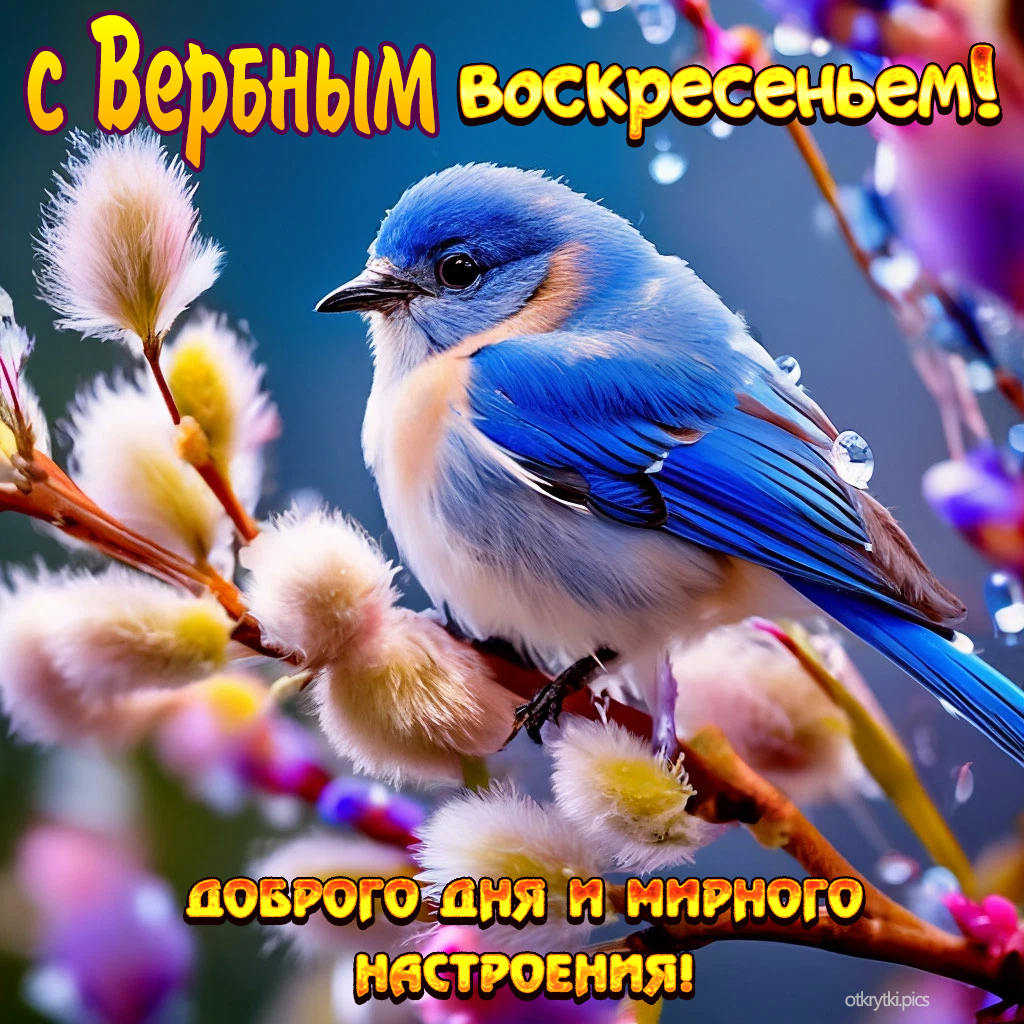 с вербным воскресеньем