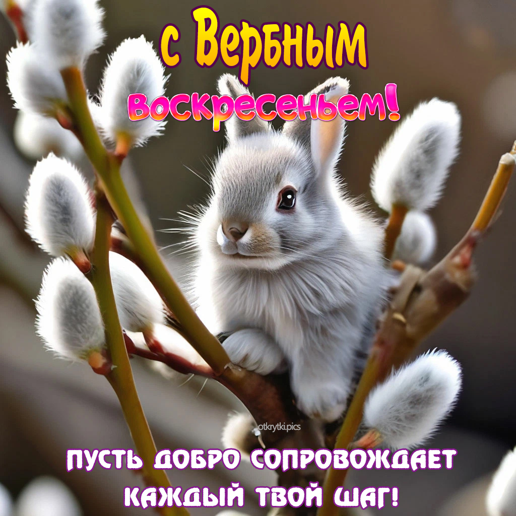 с вербным воскресеньем
