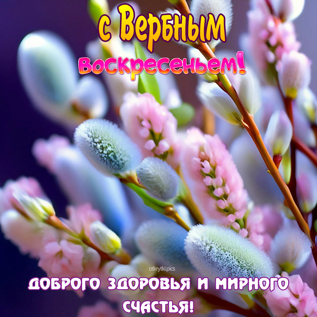 с вербным воскресеньем