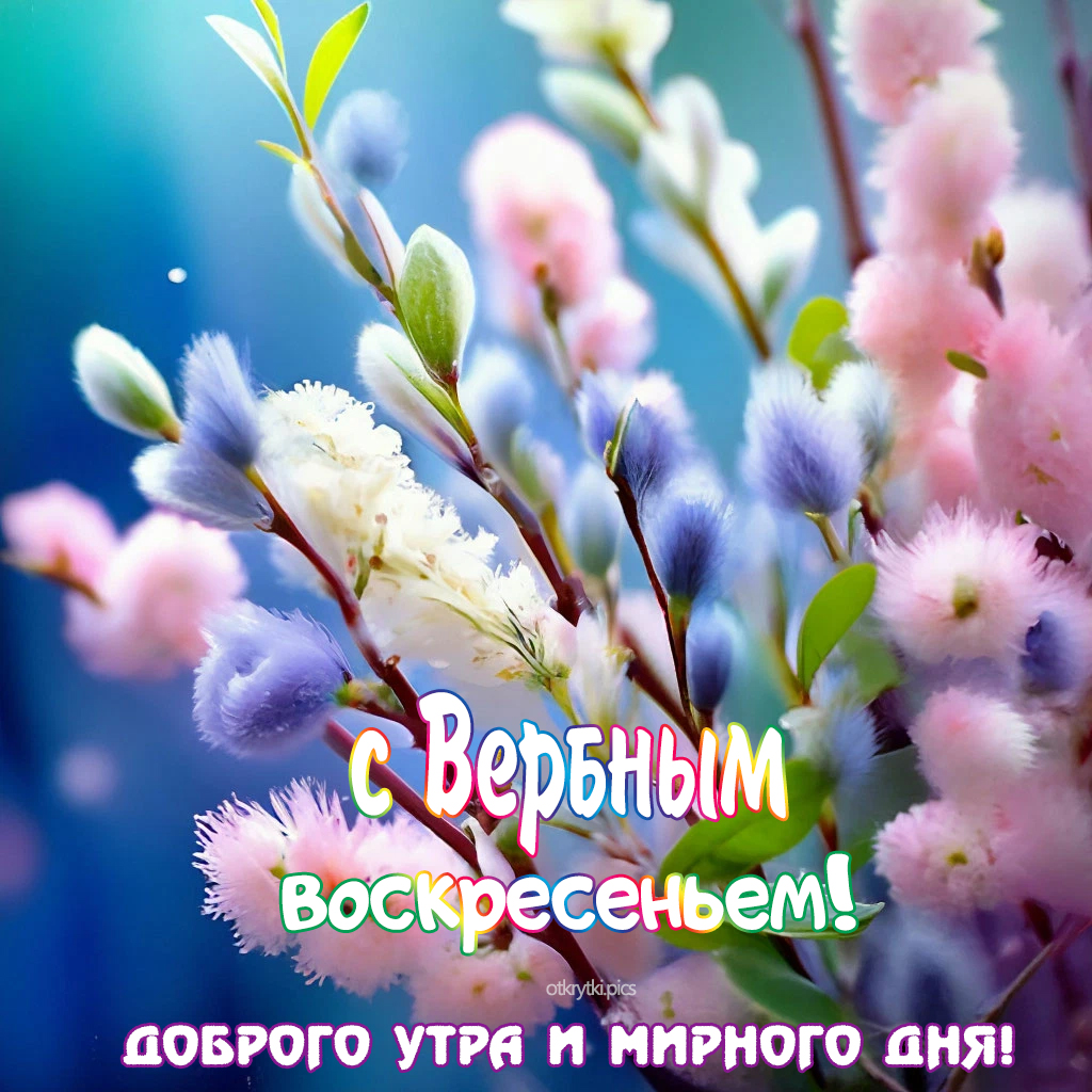 с вербным воскресеньем