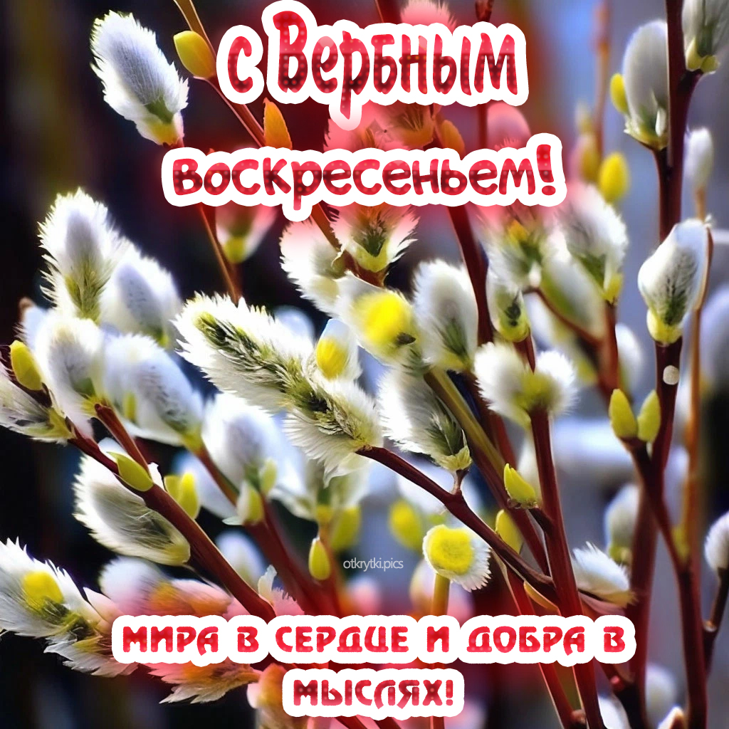 с вербным воскресеньем