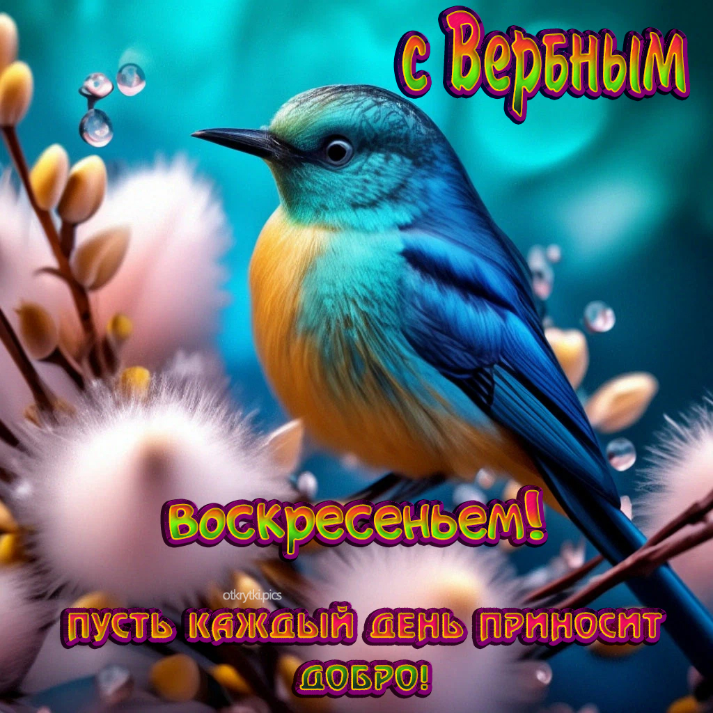 с вербным воскресеньем