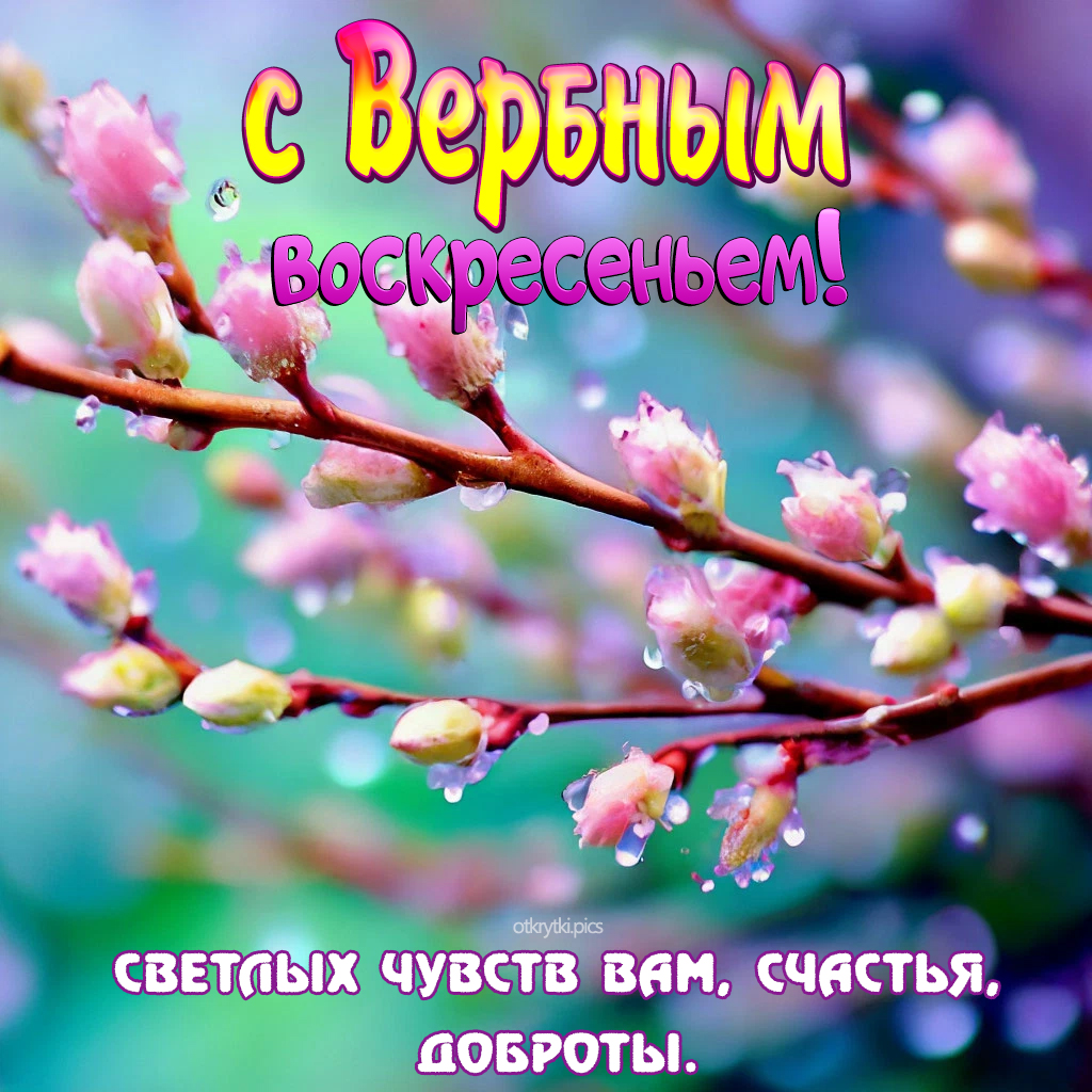 с вербным воскресеньем
