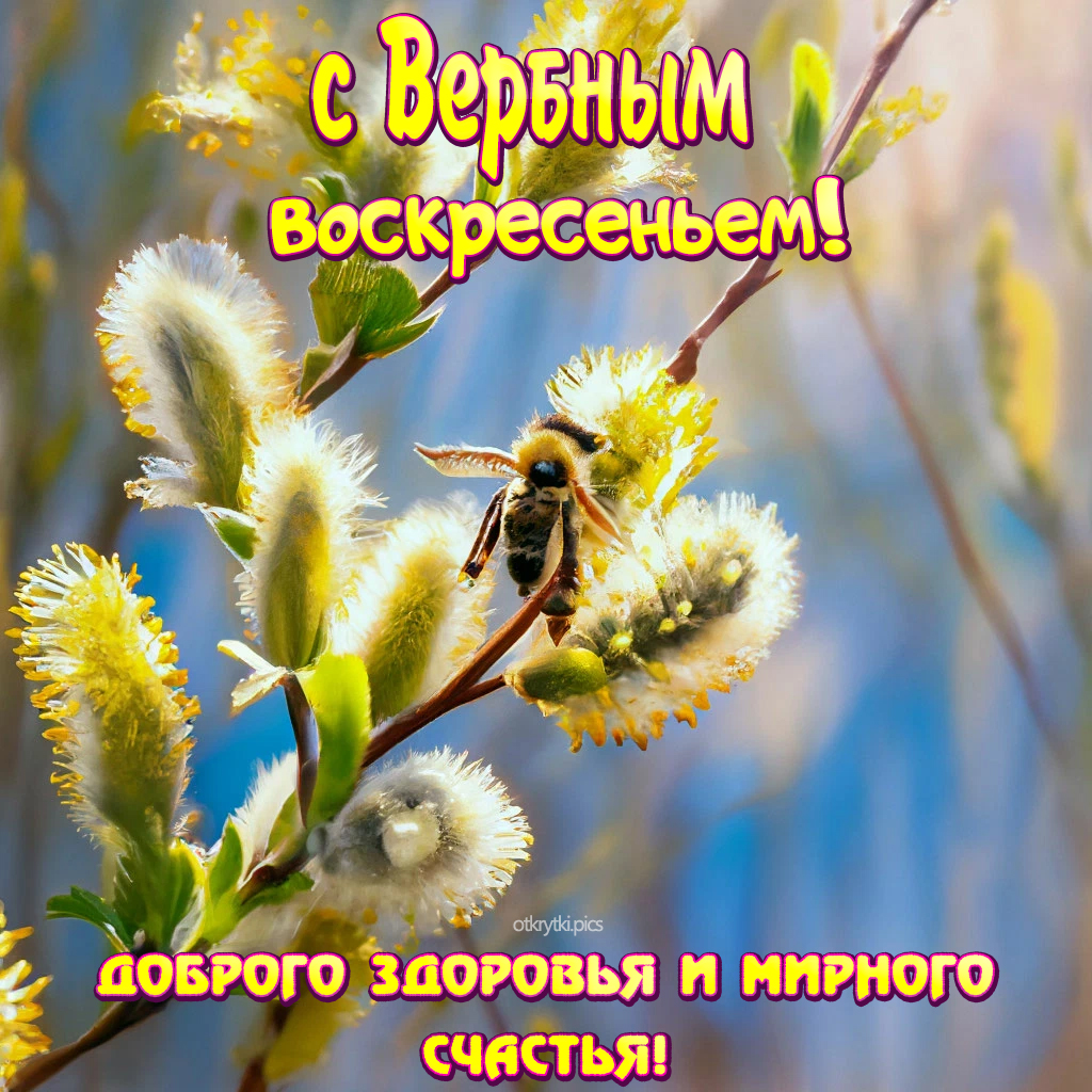 с вербным воскресеньем