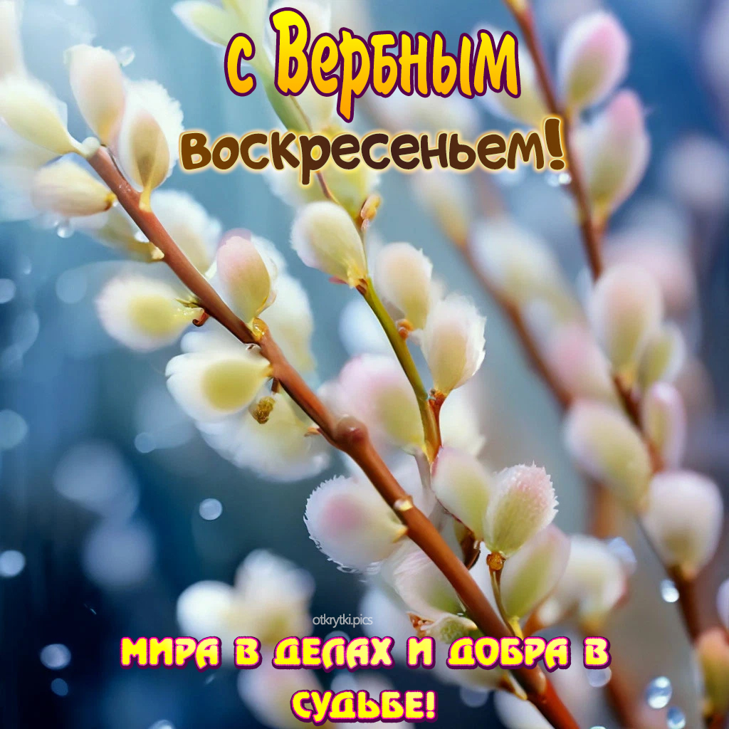 с вербным воскресеньем