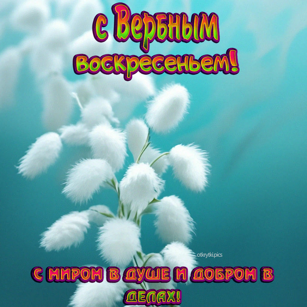 с вербным воскресеньем