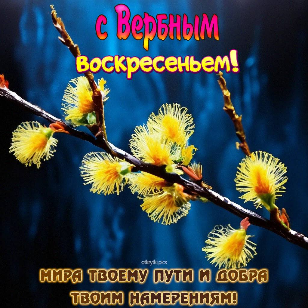 с вербным воскресеньем