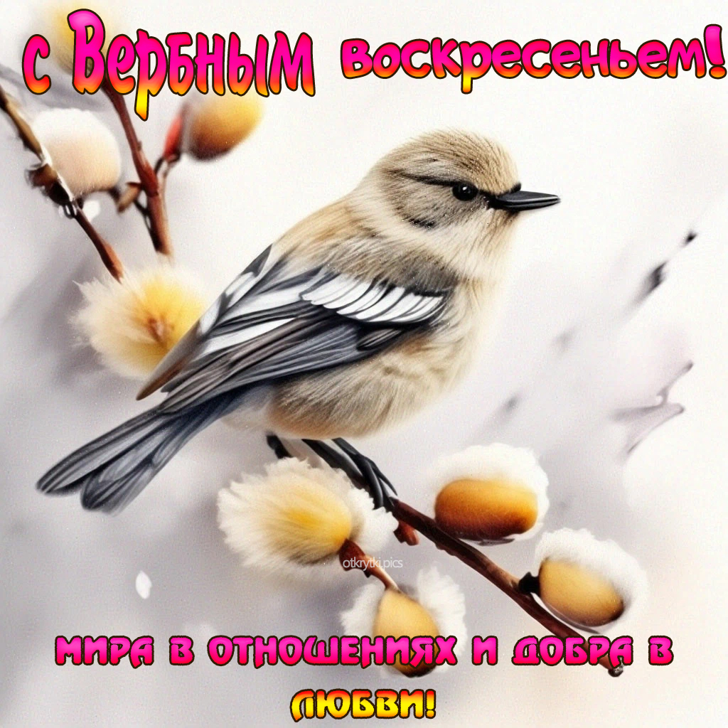 с вербным воскресеньем