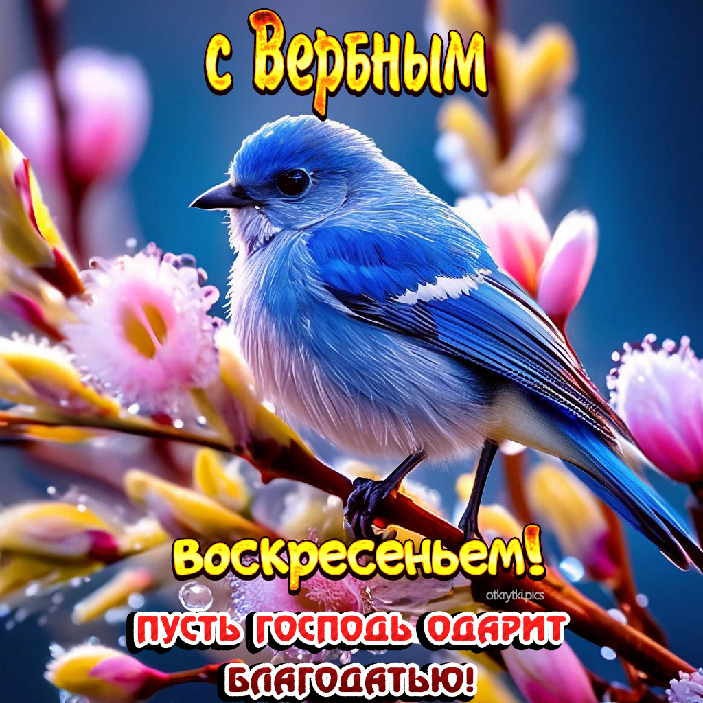 с вербным воскресеньем