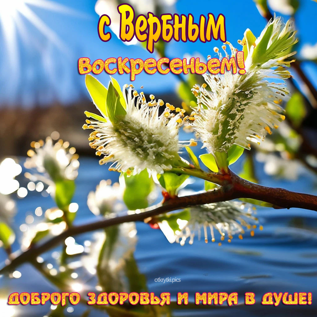 с вербным воскресеньем