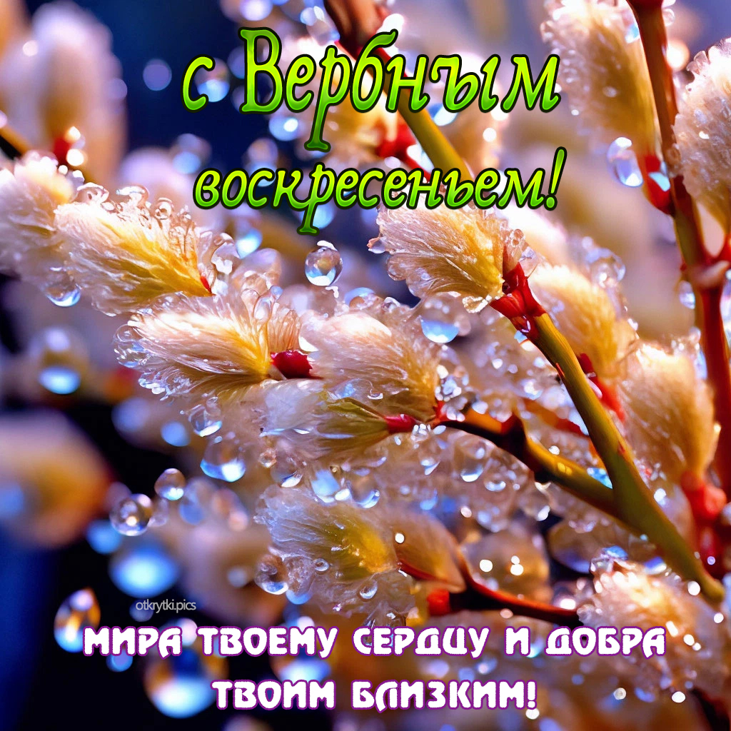 с вербным воскресеньем