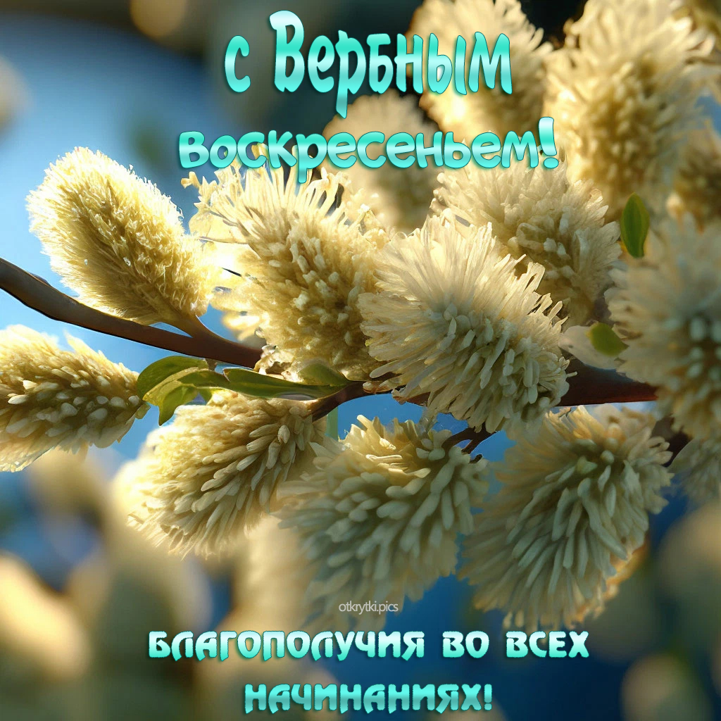 с вербным воскресеньем