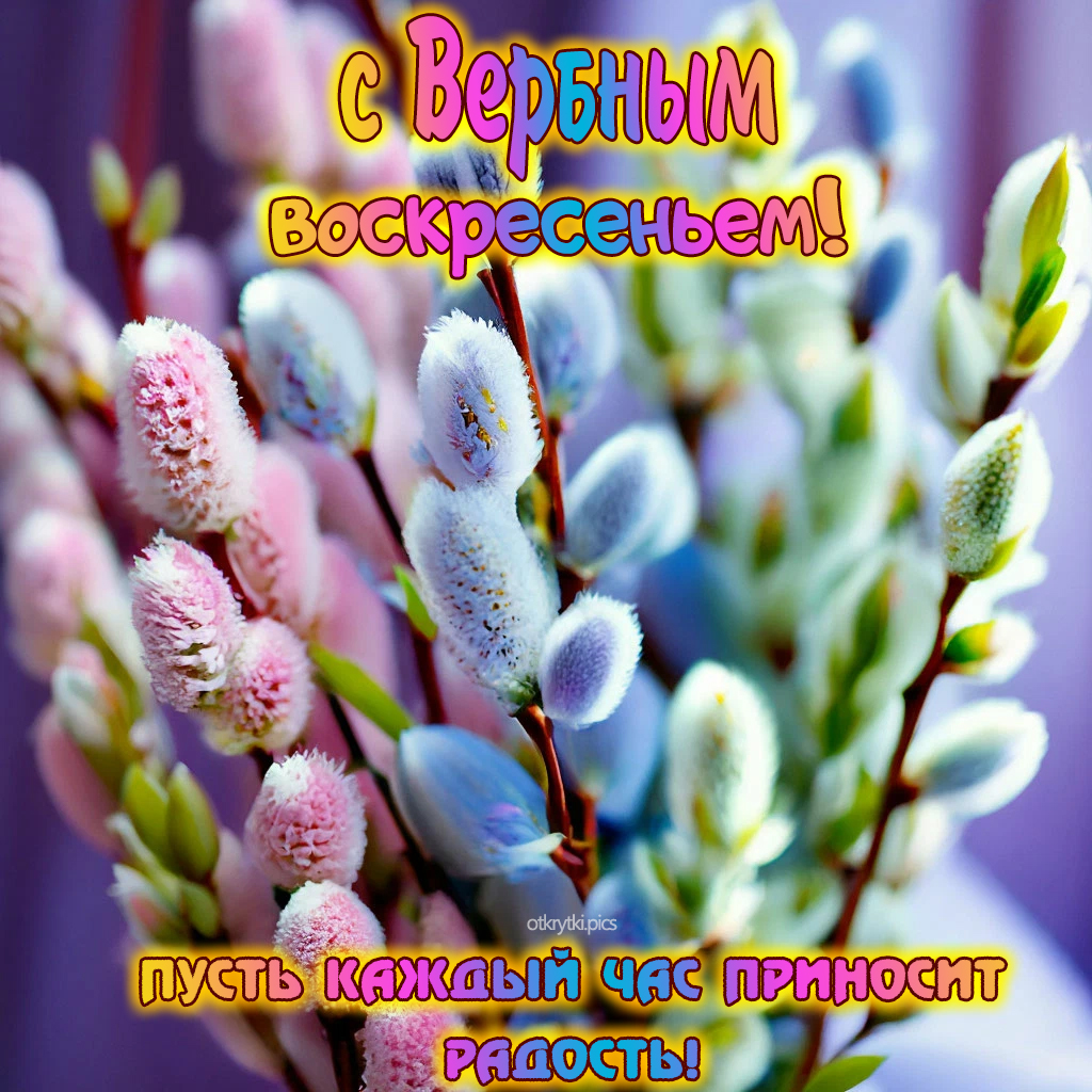 с вербным воскресеньем