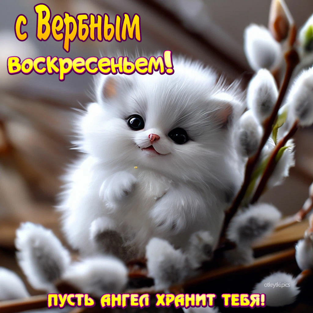 с вербным воскресеньем