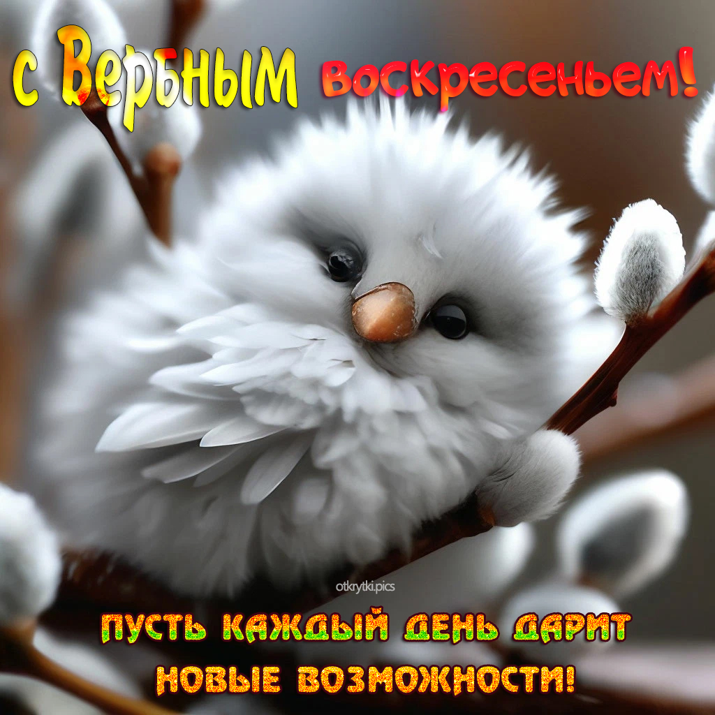 с вербным воскресеньем