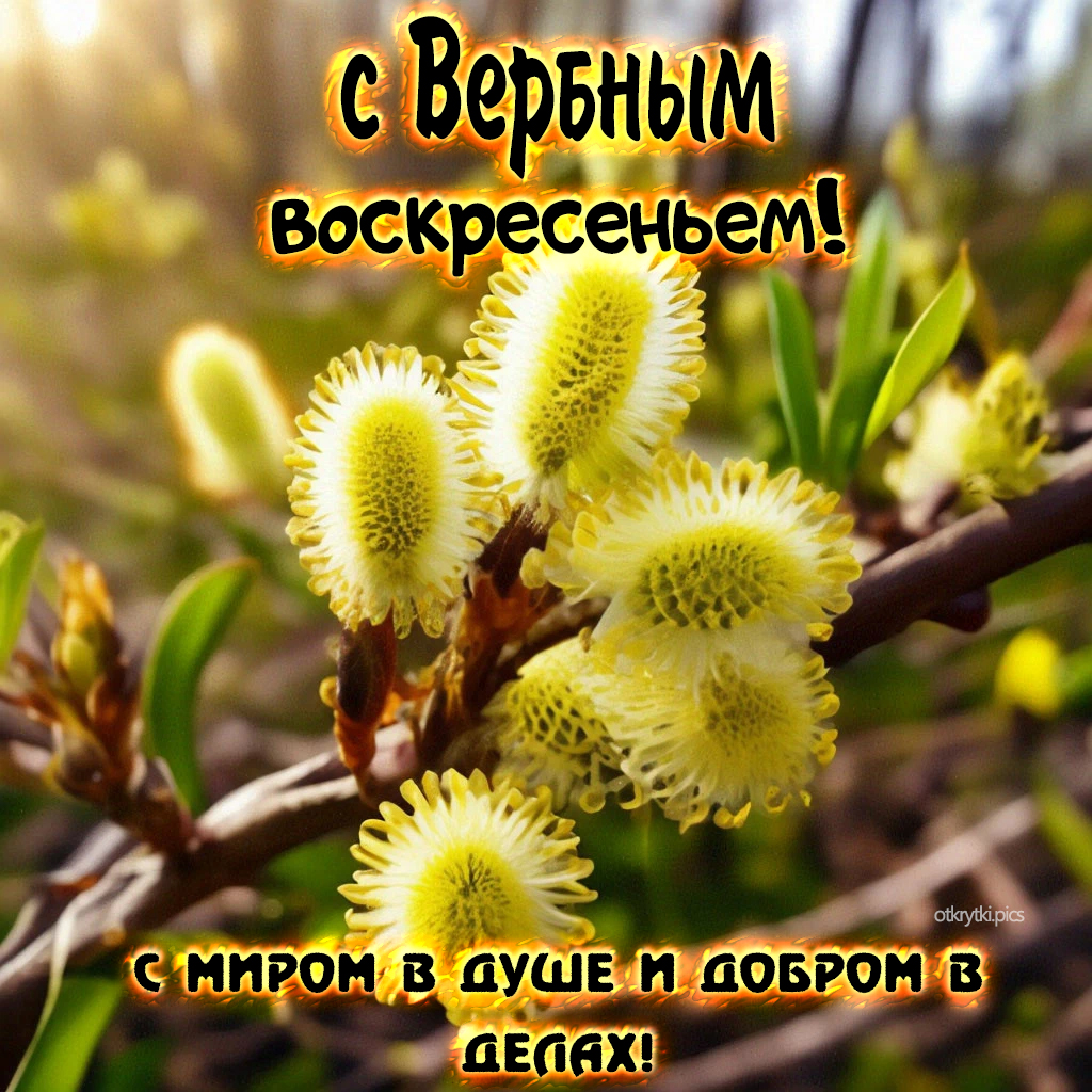 с вербным воскресеньем