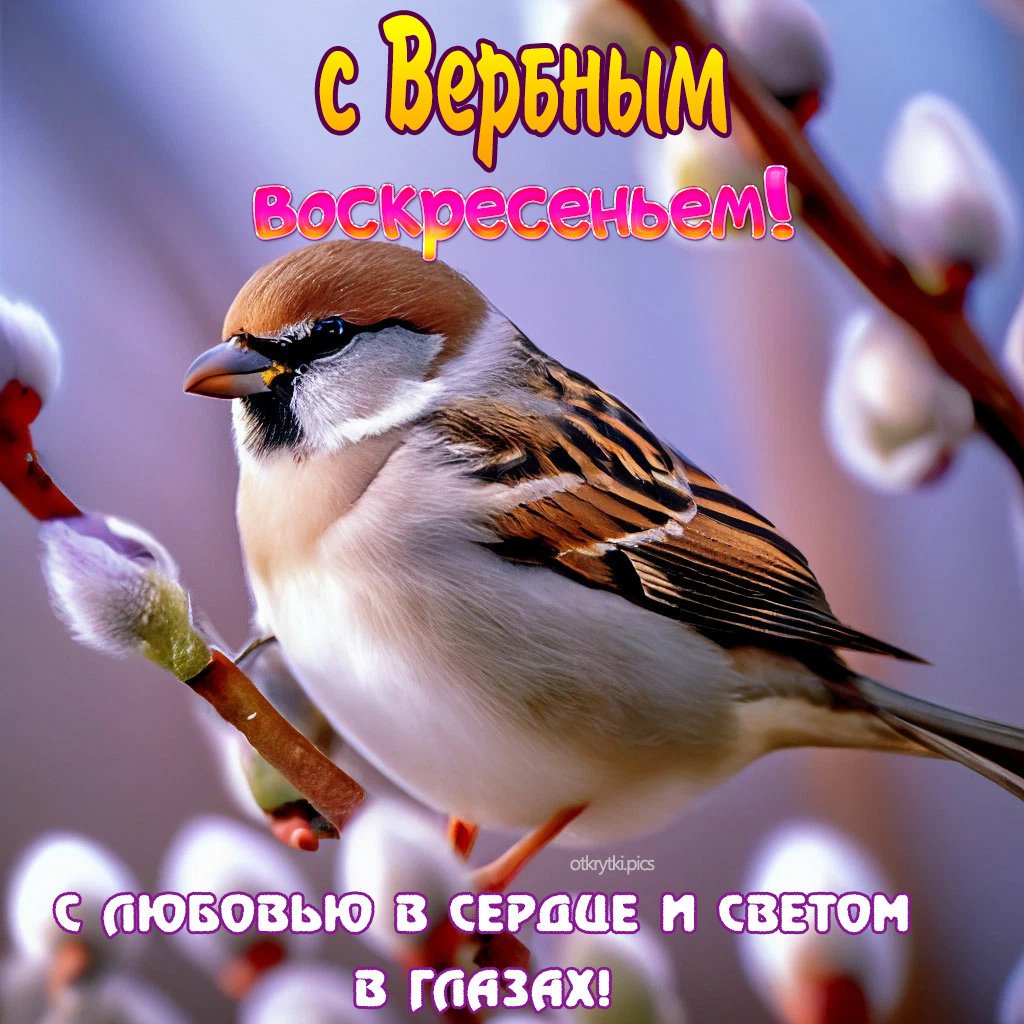 с вербным воскресеньем