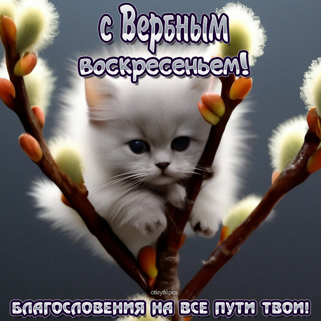 с вербным воскресеньем